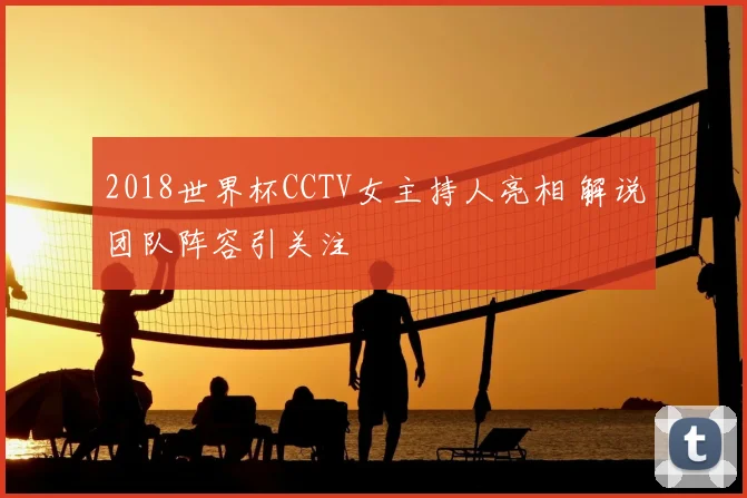 2018世界杯CCTV女主持人亮相 解说团队阵容引关注