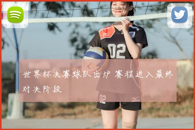 世界杯决赛球队出炉 赛程进入最终对决阶段