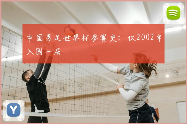 中国男足世界杯参赛史：仅2002年入围一届