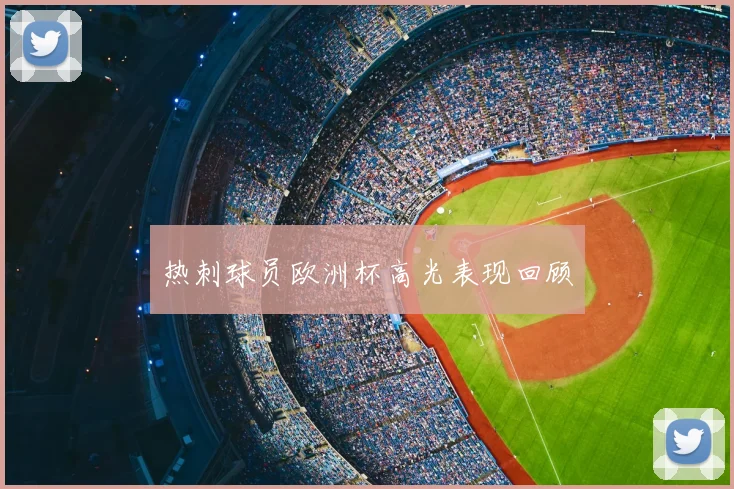 热刺球员欧洲杯高光表现回顾