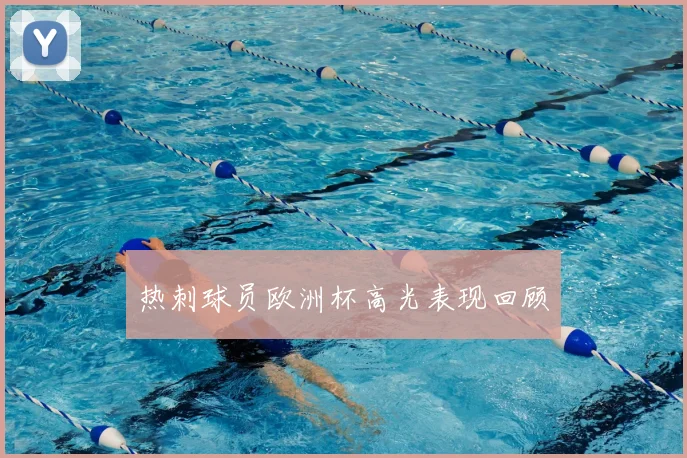 热刺球员欧洲杯高光表现回顾