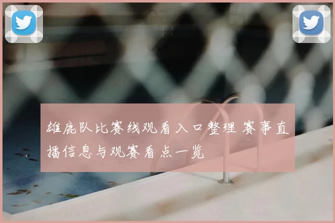 雄鹿队比赛线观看入口整理 赛事直播信息与观赛看点一览